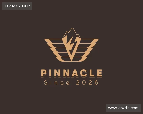 了解PINNACLE