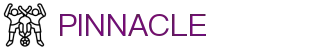 PINNACLE·(china)官网